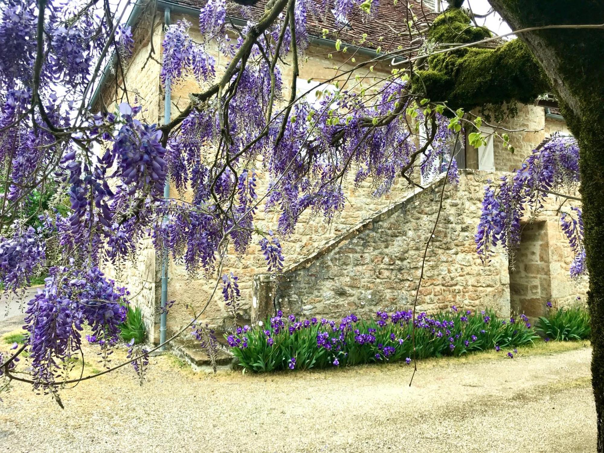 Manoir De Rieuzal Bed & Breakfast Loubressac Екстериор снимка