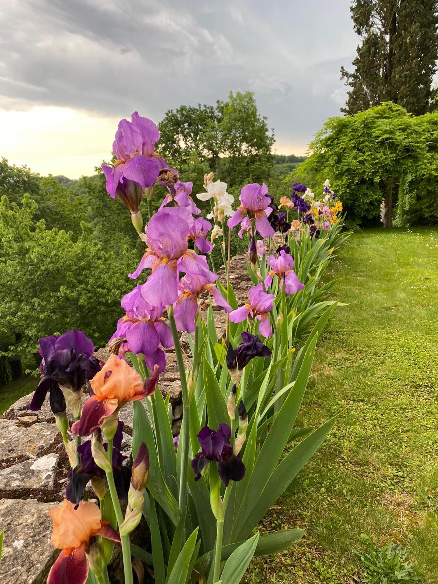 Manoir De Rieuzal Bed & Breakfast Loubressac Екстериор снимка