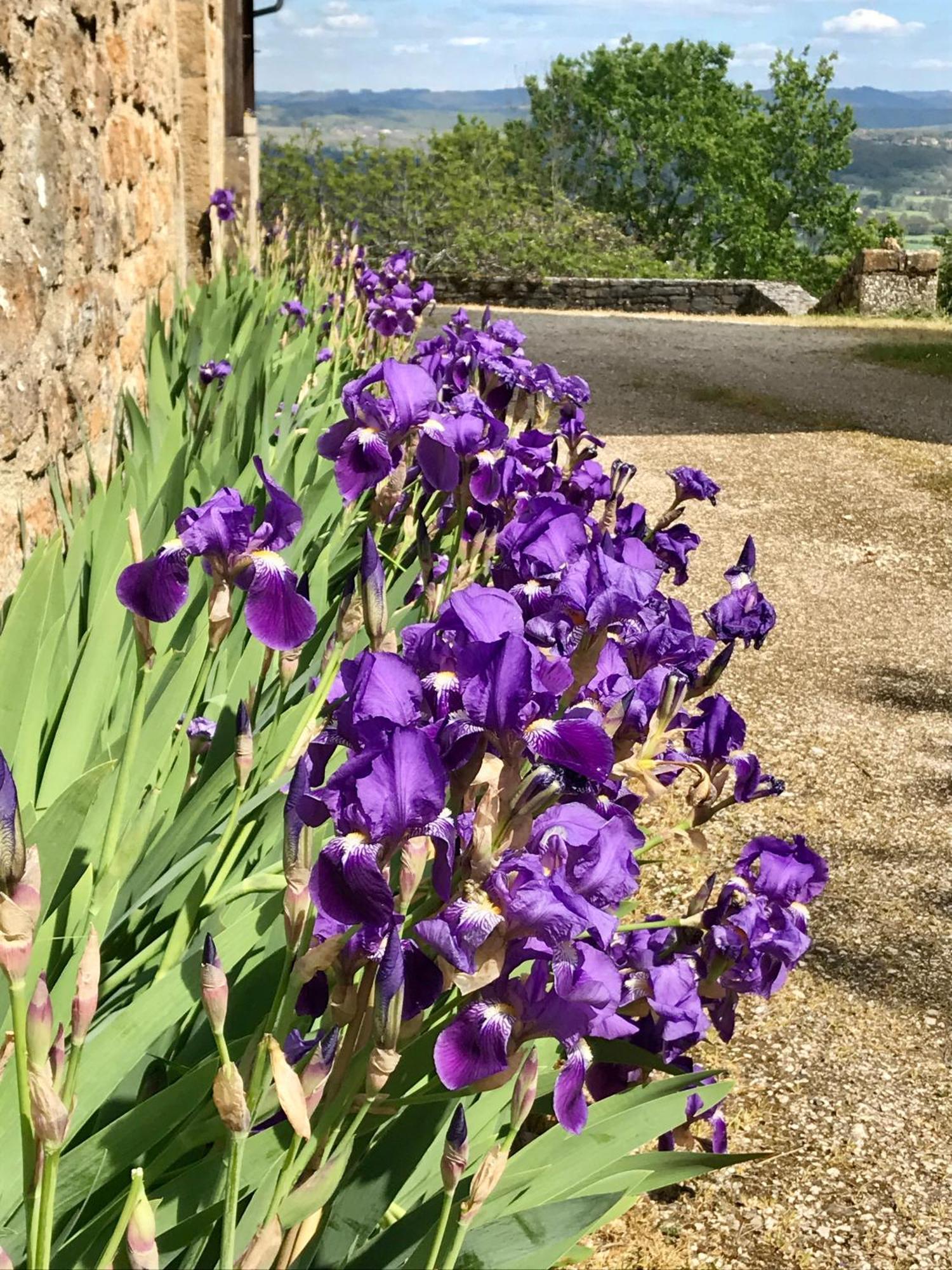 Manoir De Rieuzal Bed & Breakfast Loubressac Екстериор снимка