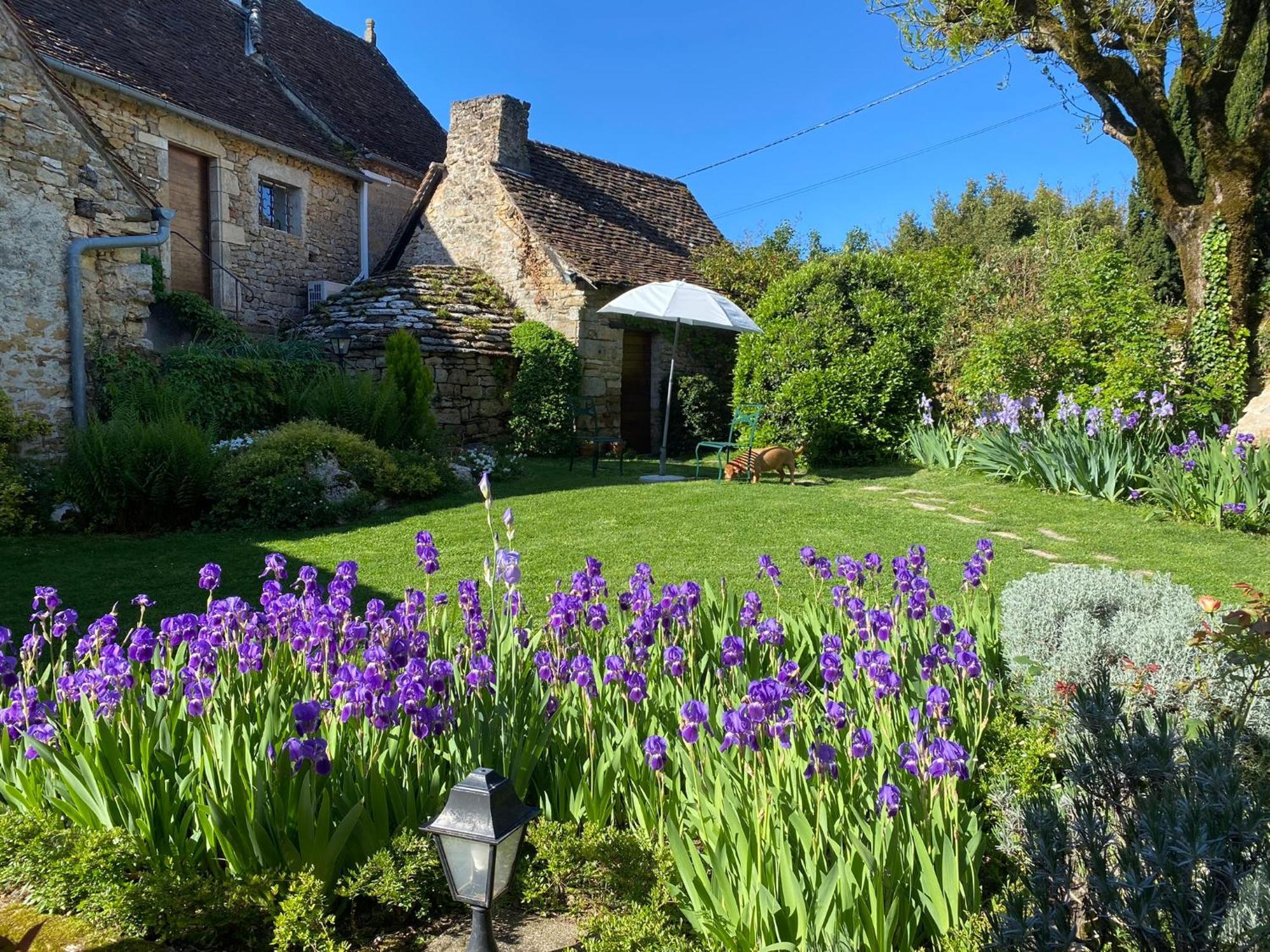 Manoir De Rieuzal Bed & Breakfast Loubressac Екстериор снимка