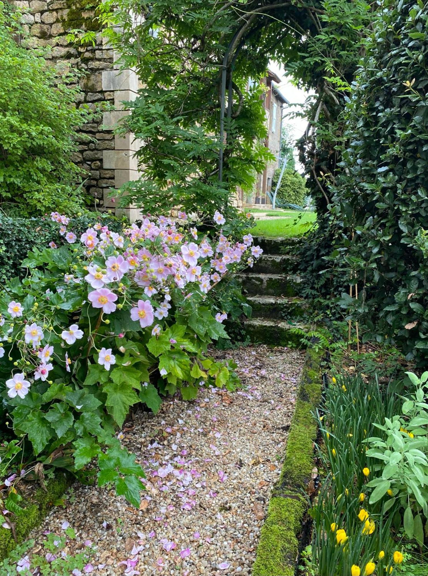 Manoir De Rieuzal Bed & Breakfast Loubressac Екстериор снимка